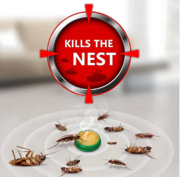 Cockroach Killer Gel (Pack of 2)